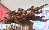 Choáng ngợp ngắm bộ kỳ mộc 7 món 'tứ linh quần tụ', giá 3,5 tỷ đồng